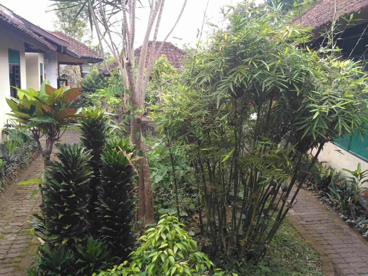 Dhangin Taman Karangasem  Luaran gambar