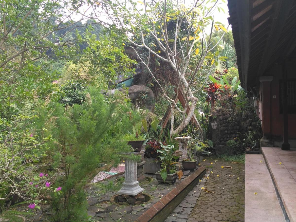 Dhangin Taman Karangasem  Luaran gambar